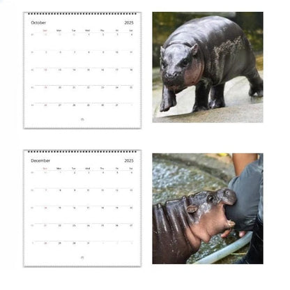 ✨Moo Deng Calendar | 2025 Calendar