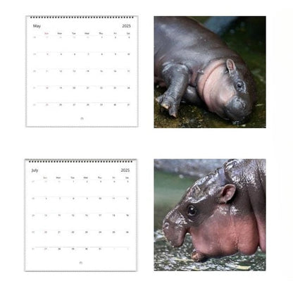 ✨Moo Deng Calendar | 2025 Calendar